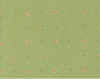 Abloom Cucumber Green 29216 17 by Corey Yoder for Moda Fabrics -sold by the half yard