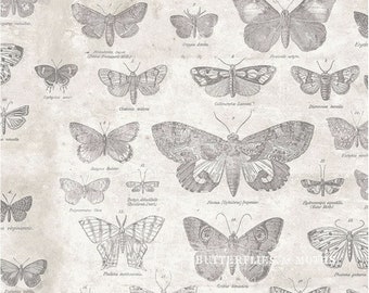 Monochrome - Butterflies - Parchment - PWTH004.PARCHMENT - Tim Holtz - Fabric - Sold by the Half Yard - Free Spirit Fabrics