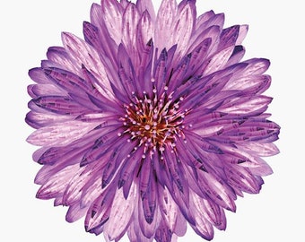 It's a Crayola World Flower Panel in Purple, 100% quilters cotton by J. Wecker Frisch for Riley Blake Designs P10174-FLOWER, 36" x 43"