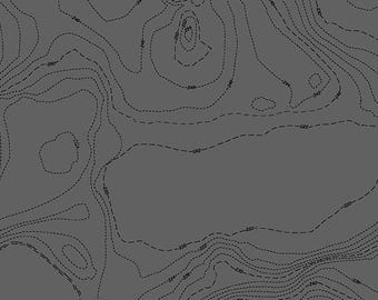 Night Gray Sun Print 2023 Topography Pattern by Alison Glass 1/2 yd, a great blender fabric - Sun Print 2023 by Andover Fabrics A-556-C