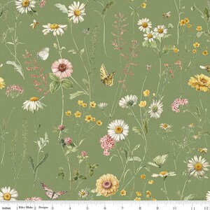 Lisa Audit による Riley Blake Designs の Love Me More Main Green、綿 100%、半ヤード単位で販売、CD15630-GREEN