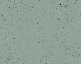 Giucy Giuce Perfect Gray, Pattern: Spectrastatic II, A-9248-C1  Guicy Guice for Andover Fabrics, Inc sold by Half Yard