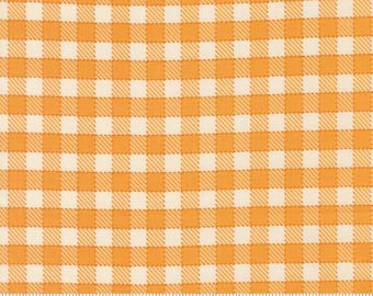 Animal Park Fun Canary 20966 18 by Stacy Iest Hsu for Moda Fabrics -sold by the half yard, Baby Check Checks and Plaids