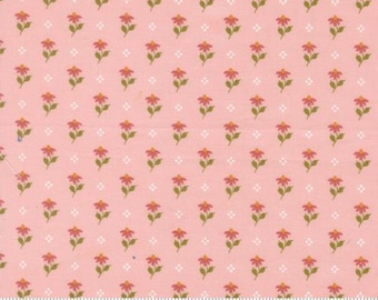 Wild Honey Carnation 5252 12 by Lella Boutique for Moda Fabrics Fabric, sold by the half yard, Bumbling Posies Small Floral