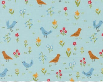 Animal Park Fun Water 20963 14 by Stacy Iest Hsu for Moda Fabrics -sold by the half yard, Bird Park Novelty Animals