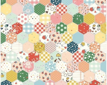 Serendipity 2 Cheater Print Multi by Minki Kim for Riley Blake Designs C17309-MULTI Fabric is sold in HALF YARD increments
