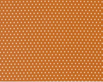 Animal Park Fun Tiger 20967 17 by Stacy Iest Hsu for Moda Fabrics -sold by the half yard, Dots