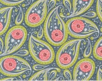 Dandi Duo Graphite, Designed by Robin Pickens for Moda Fabrics -sold by the half yard 48753 17