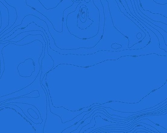 Pond Blue Sun Print 2023 Topography Pattern by Alison Glass 1/2 yd, a great blender fabric - Sun Print 2023 by Andover Fabrics A-556-B