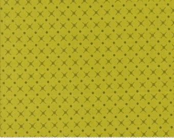 Color Crush Lime 10887 19 by Vanessa Christenson, V and Co. for Moda Fabrics -sold by the half yard, X and O Blenders Dot