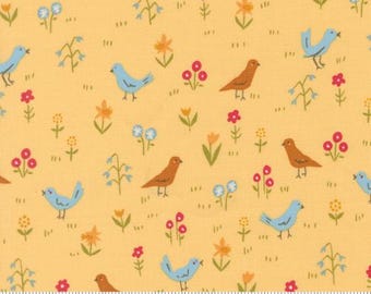 Animal Park Fun Banana 20963 19 by Stacy Iest Hsu for Moda Fabrics -sold by the half yard, Bird Park Novelty Animals
