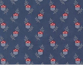 American Gatherings III Nautical Blue 49320 14 by Primitive Gatherings for Moda - sold by the half yard, Star Shield Novelty