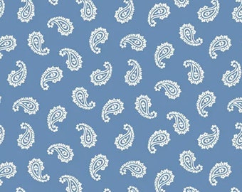 Apple Pie Paisley Collection by Andover Fabrics, 1/2 yd, a great blender fabric from Andover Fabrics - 9498-B2