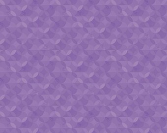 Crayola™ Kaleidoscope Violet, Riley Blake Designs - CR480-Violet 1/2 Yd cuts, 100% cotton