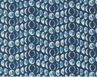Starry Sky Night 24163 17  by April Rosenthal Prairie Grass and Moda Fabrics -sold by the half yard