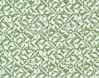 Shoreline Green 55303 15 by Camille Roskelley for Moda Fabrics -sold by the half yard