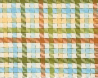Animal Park Fun Iguana 20966 16 by Stacy Iest Hsu for Moda Fabrics -sold by the half yard, Baby Check Checks and Plaids