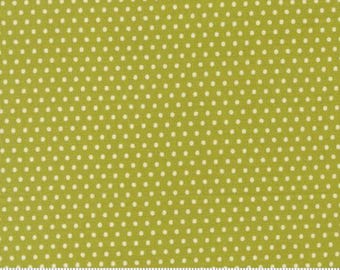 Animal Park Fun Iguana 20967 16 by Stacy Iest Hsu for Moda Fabrics -sold by the half yard, Dots