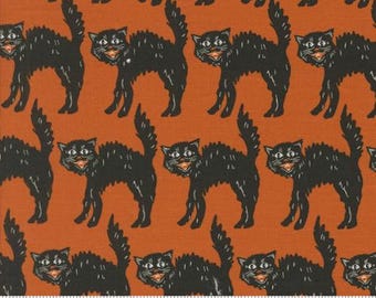Home Sweet Haunt Rust 20915 13 by Stacy Iest Hsu for Moda Fabrics -sold by the half yard, Little Black Cat Novelty Black Cat
