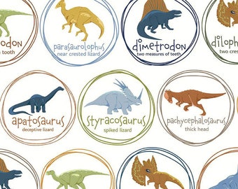 Cretaceous Main Cream Fabric, Riley Blake, C14100-CREAM, Dinosaur Fabric, Cotton Quilt Fabric, Quilt Fabric 1/2 Yd cuts