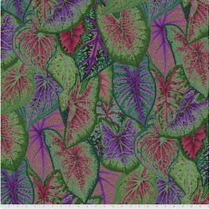 Dark Caladiums By Philip Jacobs Kaffe Fassett Collective Fabric 2021, Free Spirit Fabrics  PWPJ108.Dark, 100% Cotton, sold by 1/2 yard