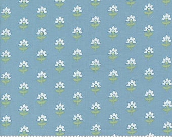 Shoreline Light Blue 55301 12 by Camille Roskelley for Moda Fabrics -sold by the half yard