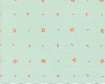 Abloom Robins Egg 29216 18 by Corey Yoder for Moda Fabrics -sold by the half yard