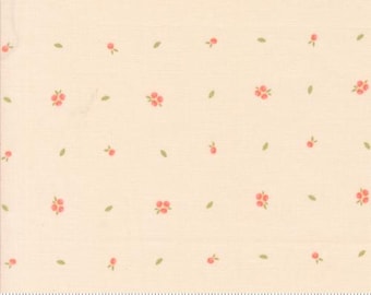 Abloom Pale Pink 29216 14 by Corey Yoder for Moda Fabrics -sold by the half yard