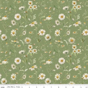 Love Me More Daisies Green by  Lisa Audit for Riley Blake Designs, 100% cotton, sold by the half yard,   CD15633-GREEN