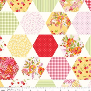 Estampado floral Picnic Cheater Multi por media yarda, Diseñador: My Mind&#39;s Eye, Riley Blake Fabrics C14617-MULTI