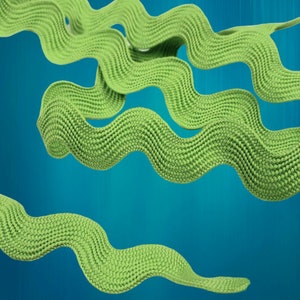 Riley Green 3/8&quot; wide polyester rick rack trim, ricrak embellishment, ric rac notions made by Riley Blake Designs, Lori Holt vintage