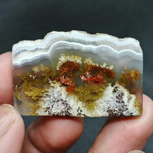 Multycolor flower agate, crystal healing, gift stone, cabochons polish