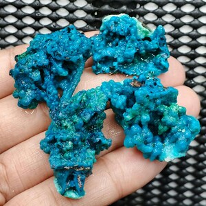 May include: Four pieces of vibrant blue-green mineral specimens with a textured, porous surface. The mineral has a crystalline structure and varying shades of turquoise and teal. The specimens are held in a hand, with a dark background.