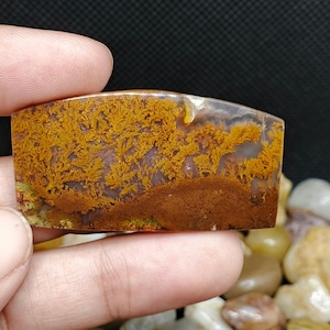 Flower Agate brown- moss agate scenic - plume agate