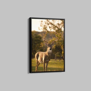Rustic Deer in Autumn Forest Canvas Print, Woodland Wall Art, Majestic Buck Painting, Cozy Nature Décor, Fall Scene Art, Wildlife Lover Gift