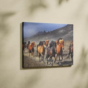 Horse Canvas Art, Horse Lover Gift, Love Art Decor, Valentines Day Gift, Canvas Wall Art, Modern Art Decor, Wall Art Decor,Canvas Art,