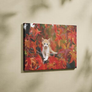 Cat Canvas Art, Abstract Canvas Decor, Colorful Cats, Modern Canvas Art, Kids Room Art, Wall Hanging Art, Cat Lover Gift, Canvas Art Decor