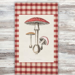 Vintage Mushroom Tea Towel, Red Gingham Mushroom Kitchen Decor, Cottagecore Fungi Dish Towel, Botanical Toadstool Art, Forest Forager Gift
