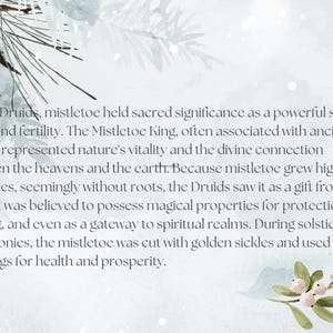 May include: A white background with a green mistletoe sprig and red berries. The text reads: "To the Druids, mistletoe held sacred significance as a powerful symbol of life and fertility. The Mistletoe King, often associated with ancient rituals, represented nature's vitality and the divine connection between the heavens and the earth. Because mistletoe grew high in oak trees, seemingly without roots, the Druids saw it as a gift from the gods. It was believed to possess magical properties for protection, healing, and even as a gateway to spiritual realms. During solstice ceremonies, the mistletoe was cut with golden sickles and used in blessings for health and prosperity."