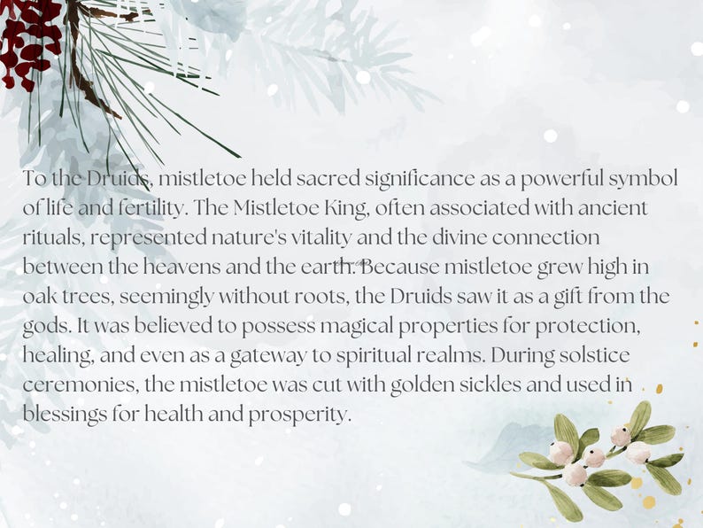 May include: A white background with a green mistletoe sprig and red berries. The text reads: "To the Druids, mistletoe held sacred significance as a powerful symbol of life and fertility. The Mistletoe King, often associated with ancient rituals, represented nature's vitality and the divine connection between the heavens and the earth. Because mistletoe grew high in oak trees, seemingly without roots, the Druids saw it as a gift from the gods. It was believed to possess magical properties for protection, healing, and even as a gateway to spiritual realms. During solstice ceremonies, the mistletoe was cut with golden sickles and used in blessings for health and prosperity."