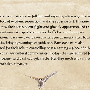 May include: Text about barn owls, symbols of wisdom and mystery, with a flying owl illustration at the bottom. The text describes the owl's role in folklore, its association with spirits, and its ecological importance.