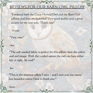 May include: A decorative pillow featuring a detailed illustration of a barn owl. The pillow has a soft, sueded fabric and is two-sided. The image includes customer reviews and the text "REVIEWS FOR OUR BARN OWL PILLOW".