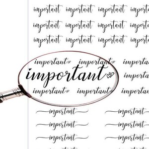 May include: A sheet of stickers with the word "important" written in cursive script. The word is repeated multiple times in different sizes and styles. The stickers are perfect for adding a touch of personality to planners, journals, and other paper goods.