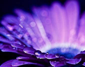 Drops of Love - 8x12 Fine Art Print
