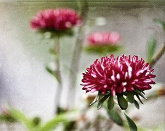 Waiting for you - 5x7 Fine Art Print