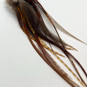 Può includere: Orecchini di piume con ganci color oro. Presentano un gruppo di piume grigie nella parte superiore, che si trasformano in lunghe e sottili piume nelle tonalità del marrone, beige e ambra. Le piume hanno un aspetto naturale e strutturato.