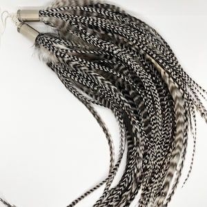 Può includere: Un paio di lunghi orecchini di piume bianche e nere con bossoli di proiettile argentati. Le piume sono lunghe e fluide, e gli orecchini sono perfetti per aggiungere un tocco di stile bohémien a qualsiasi outfit.