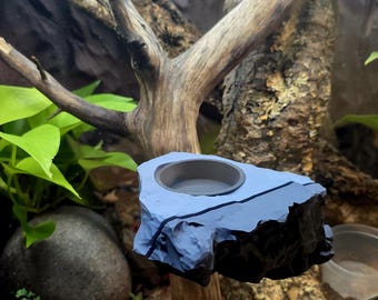 Magnetic stick on Crested Gecko feeding ledge, naturalistic look for bio-active vivariums