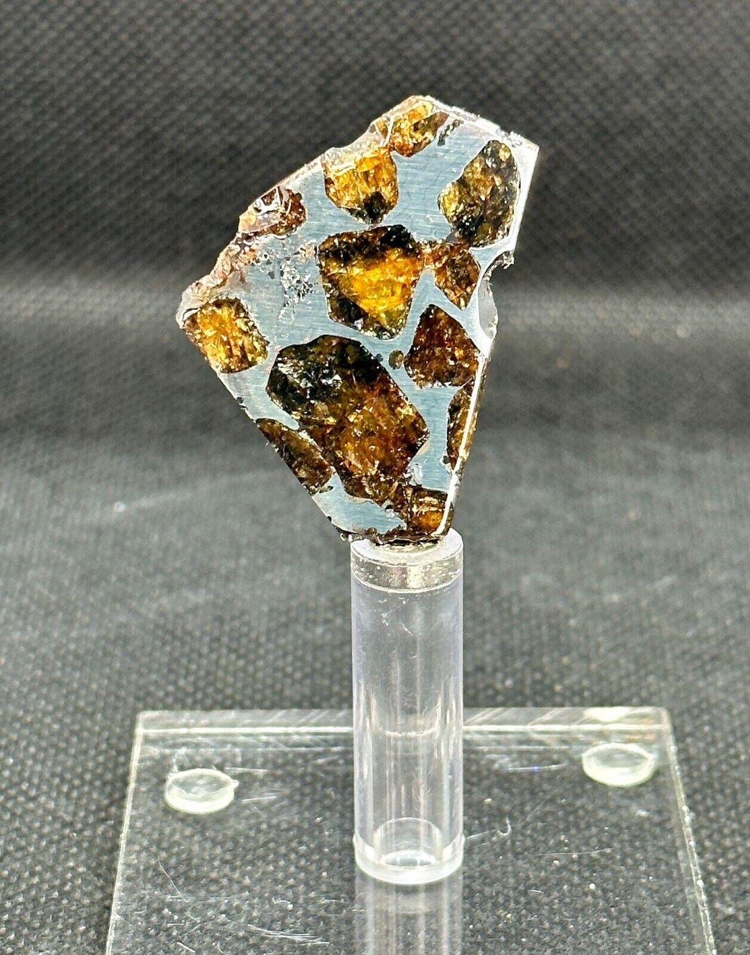 RARE PALLASOVKA METEORITE Pallasite Partial Slice 5,66 G Etsy — free download