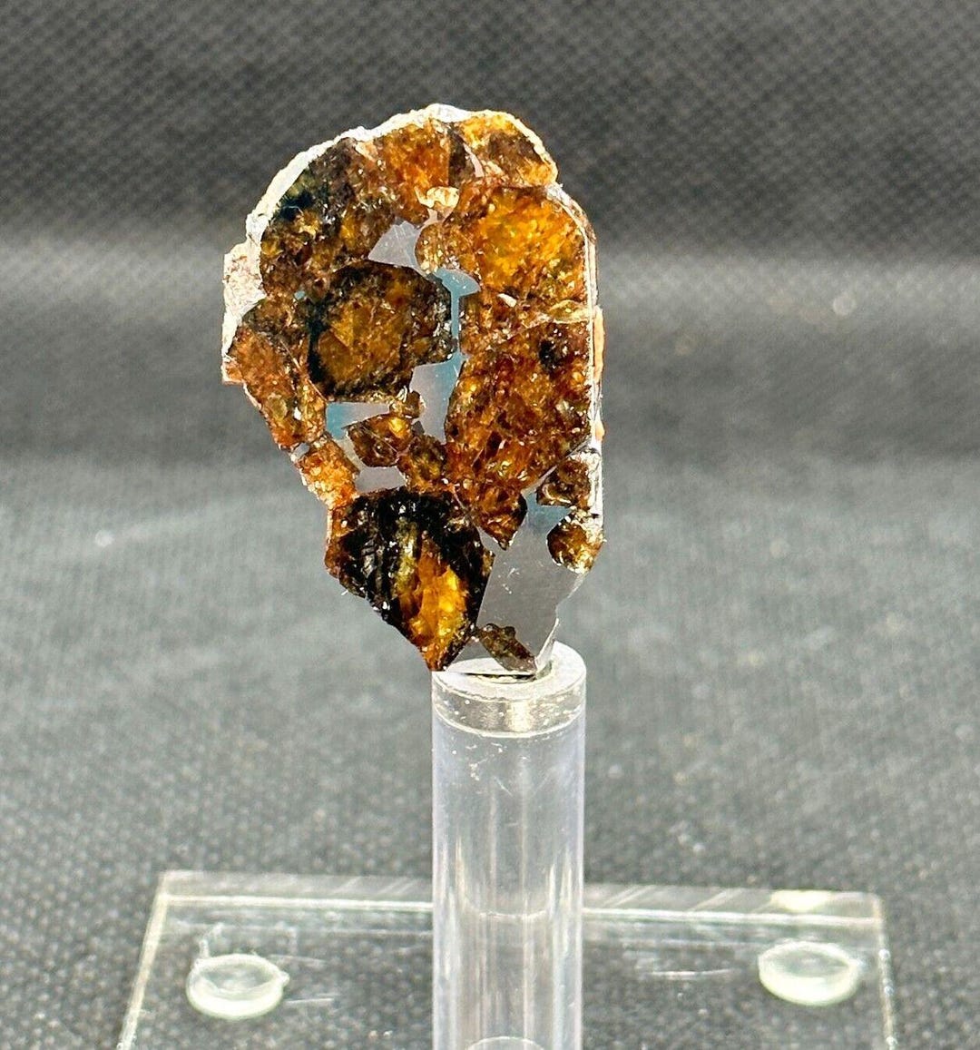 RARE PALLASOVKA METEORITE Pallasite Partial Slice 6,60 G Etsy — free download